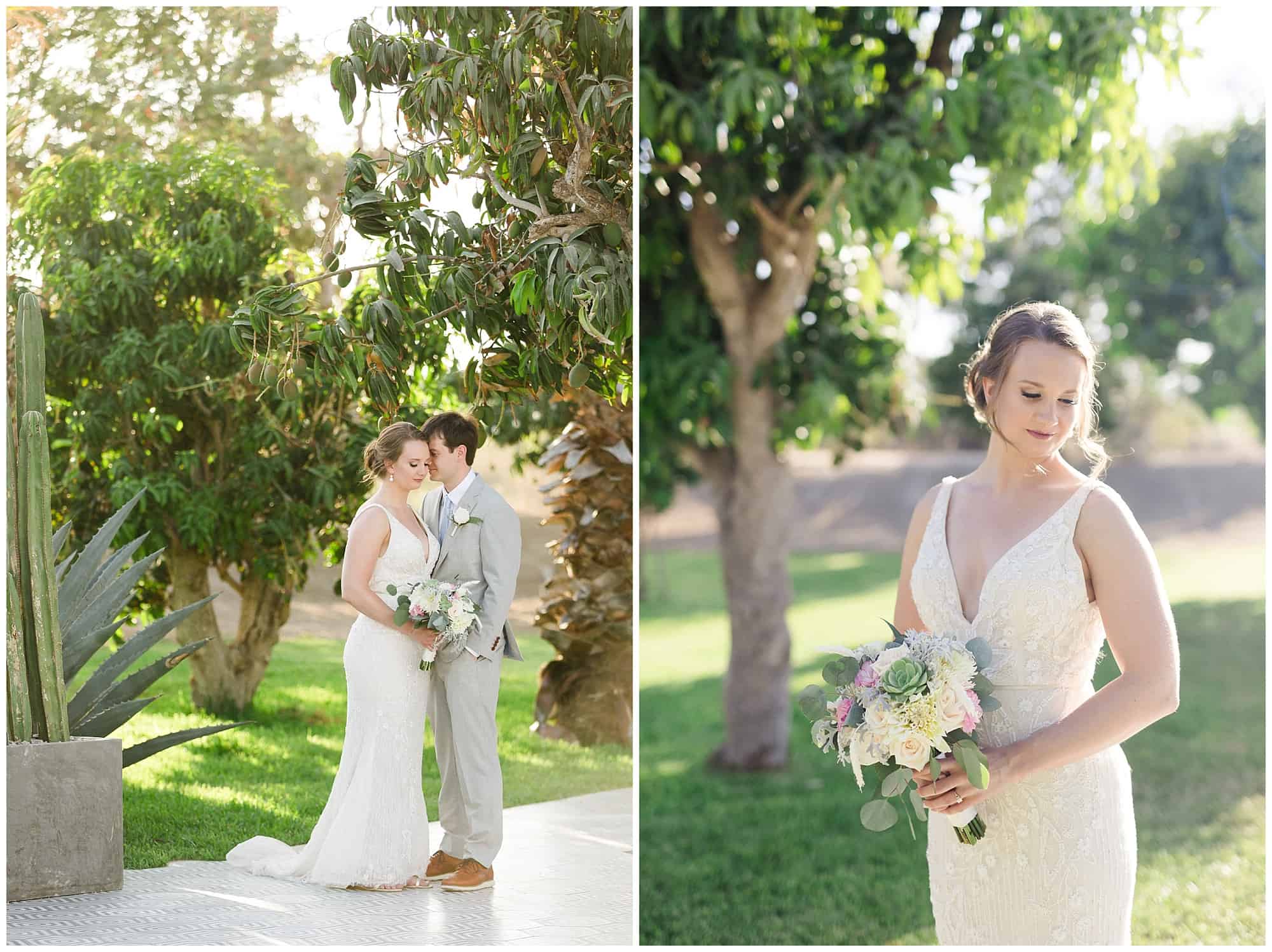 Cabo Farm Wedding acre wedding, sara richardson photography, cabo wedding, cabo wedding photographer, wedding in Cabo